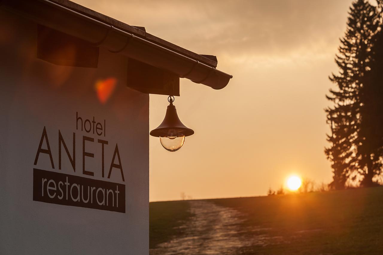 Aneta Hotel&Restaurant Vítkovice Esterno foto